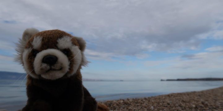 Lac Baïkal (& Irkutsk)