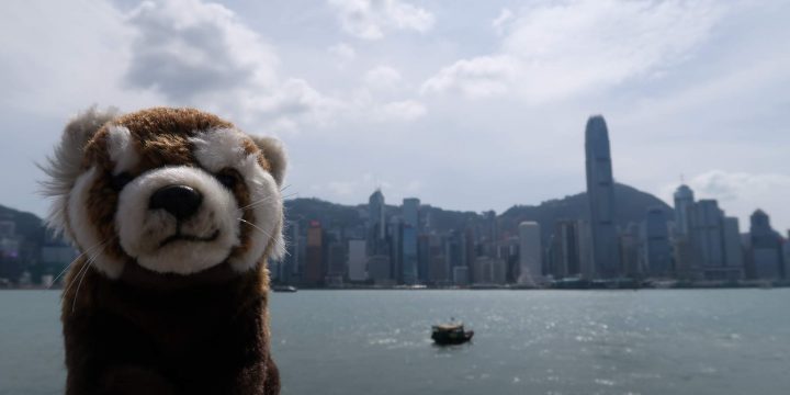 Shanghaï – Partie 3 / Hong Kong