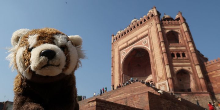 Agra / Fatehpur-Sikri