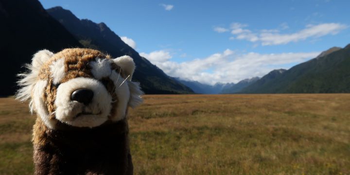 Otago / Southland (2/2)