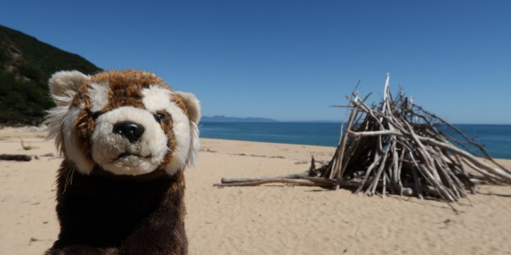 Nelson / Marlborough