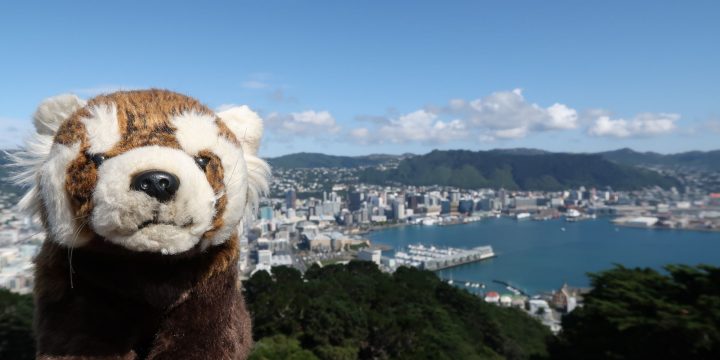 Wellington / Taranaki / Waikato