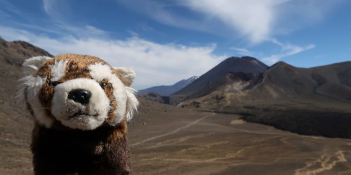 Manawatu-Wanganui / Waikato