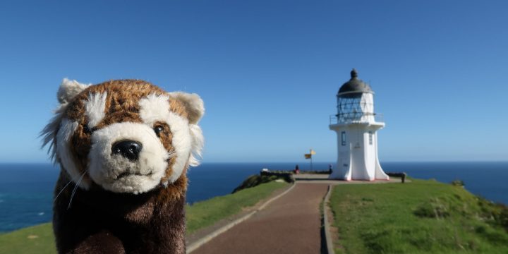 Northland / Auckland