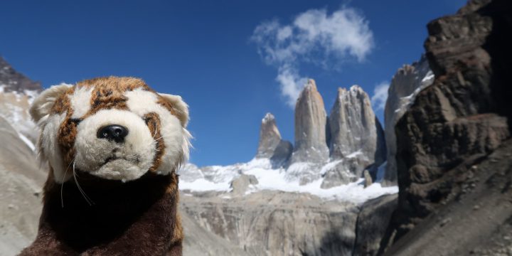 Punta Arenas / Puerto Natales / Torres Del Paine