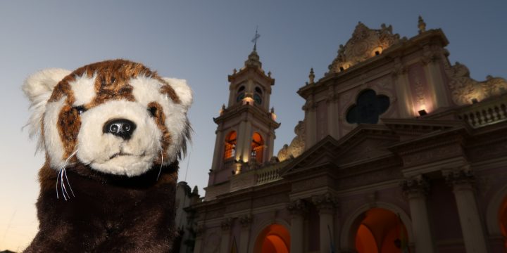 Salta / San Pedro de Atacama