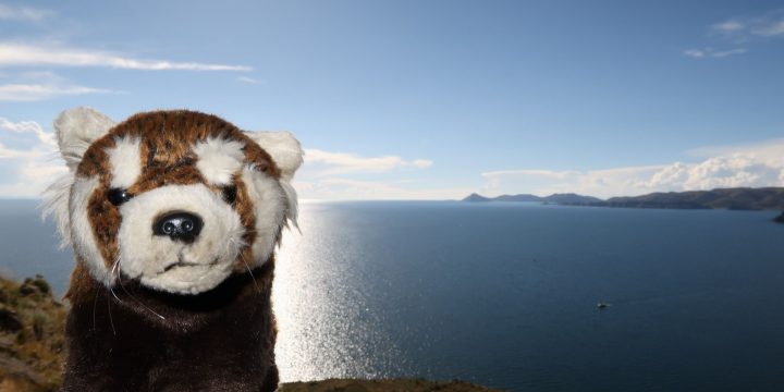 Lac Titicaca (Copacabana / Puno)