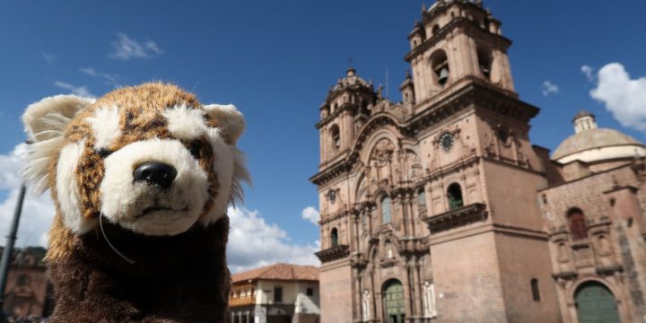 Cuzco