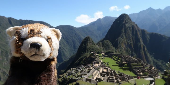 Trek Choquequirao – Machu Picchu