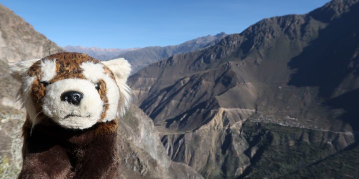 Arequipa / Canyon de Colca